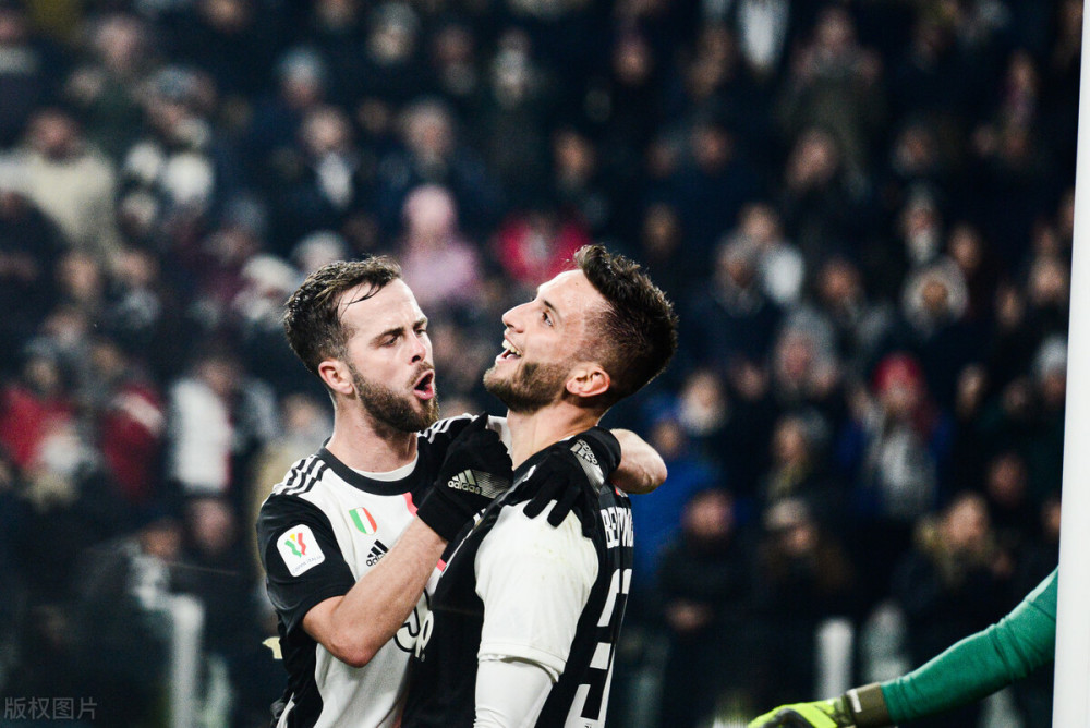 黄蜂明显加 黄蜂明显加